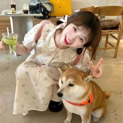 兰闺飞凤海报
