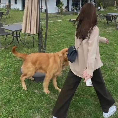 驴嘎上电视海报