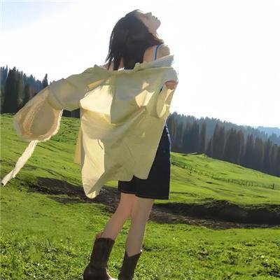杀妻案海报